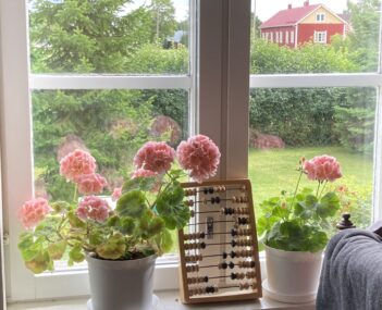 ikkunalaudalla vaaleanpunaisia pelargonioita, ikkunan takana näkyy vihreä puutarha.