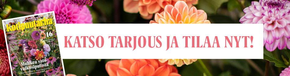 Kotipuutarha - Katso tarjous ja tilaa nyt!